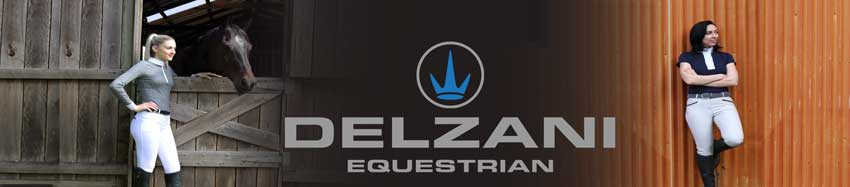 Delzani Logo