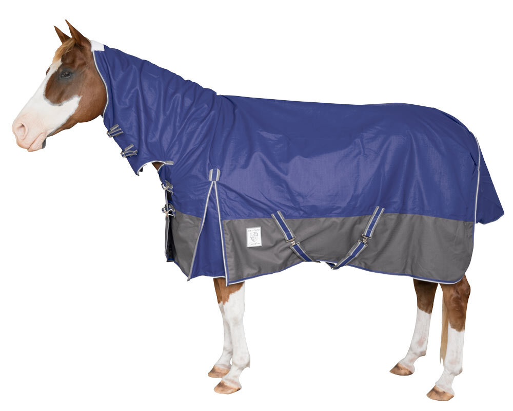 Horse rugs for sale hotsell