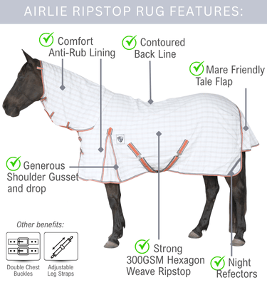 Airlie Rug feature diagram