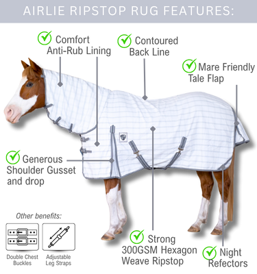 Airlie Rug feature diagram