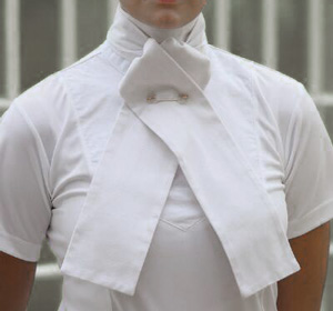 Dressage Stock Tie Example