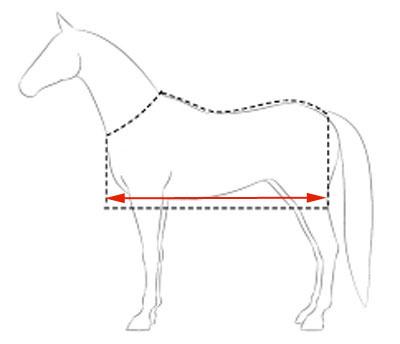 How measure your horse to find your ideal Horse Rug size