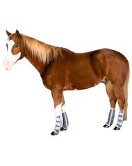 Fly Mesh Horse Boots