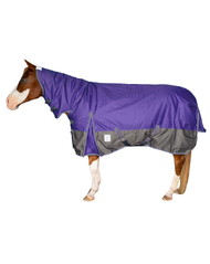Delzani Denver 1200D 300Gr Winter Turnout - Purple - Neck Combo Rug