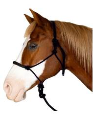 Horse Rope Halter and Lead Set