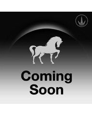 Standard Nylon Halter - Suede Padded