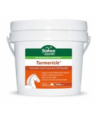 Stance Equitec Turmericle 500gm