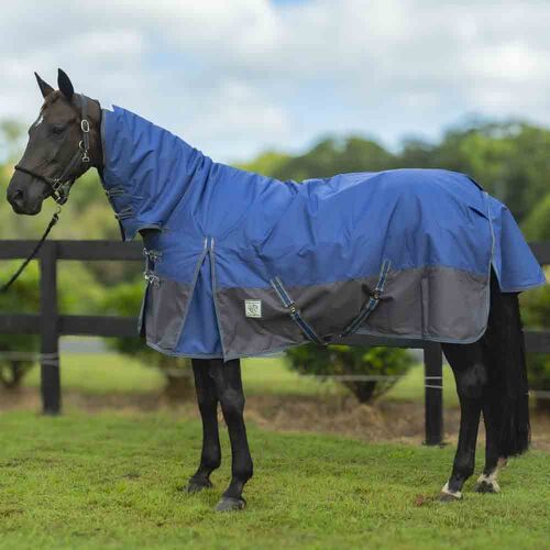Delzani 'Denver' 1200D 300Gr Winter Turnout  Neck Combo Rug - Navy