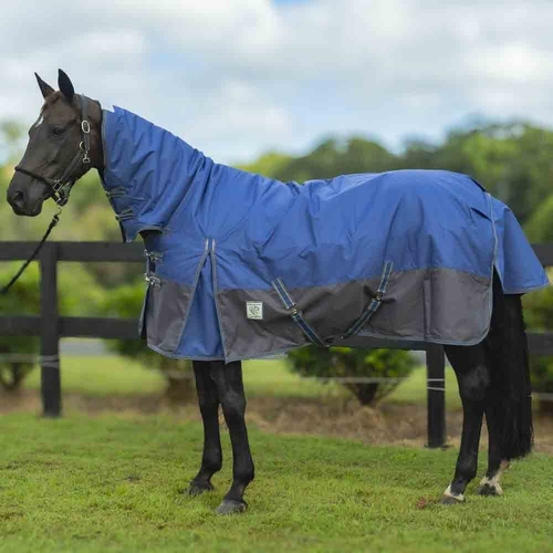 Delzani 'Denver' 1200D 300Gr Winter Turnout  Neck Combo Rug - Blue