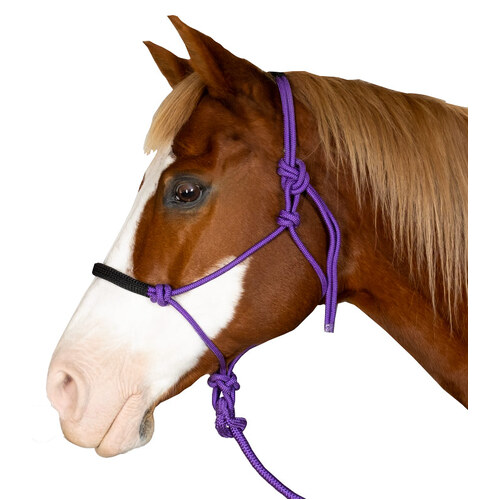 Horse Rope Halter and Lead Set