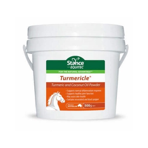 Stance Equitec Turmericle 500gm