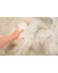 Wash Guide - Sheepskin main image