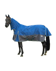 Horse Rug Fill Weight Guide: 150g, 220g, 250g & 300g for Australian Conditions main image