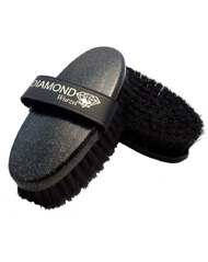 HAAS Ultimate Horse Brush Grooming Guide main image